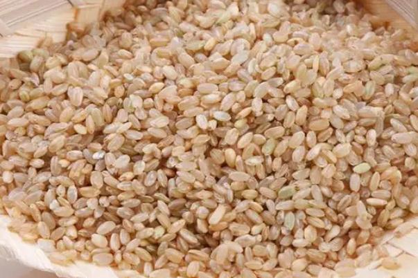 糙米和大米的區別 糙米要泡多久才能煮飯