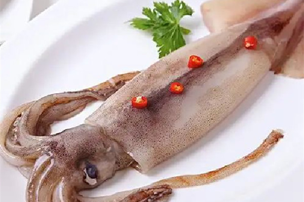 魷魚屬于高蛋白食物嗎 魷魚是發物嗎