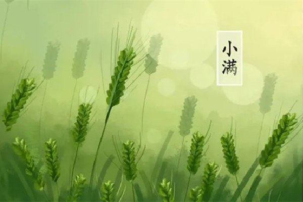 小滿(mǎn)可以剪頭發(fā)嗎 小滿(mǎn)理發(fā)好嗎