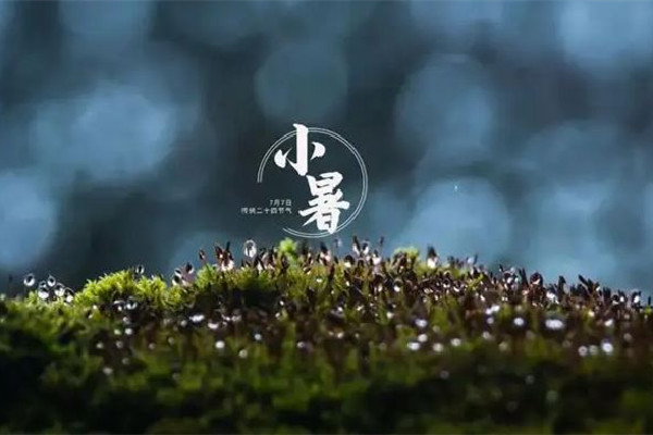 小暑節氣的寓意和傳統 小暑節氣有什么特點