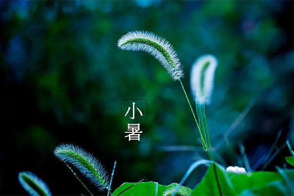 小暑節氣吃什么食物 小暑節氣吃什么藥膳