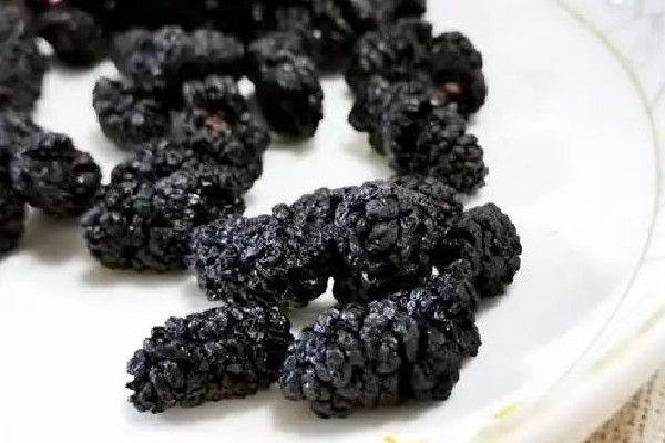 桑葚干直接吃好還是泡水好 桑葚干直接吃有營養嗎