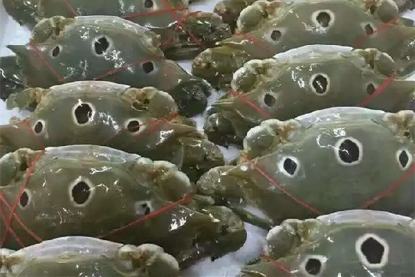 三眼蟹什么季節吃最好 三眼蟹是公的好吃還是母的好吃