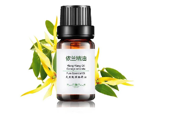 護膚精油可以抹頭發嗎 護膚精油對頭發有什么作用