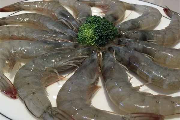 明蝦有什么營養價值 明蝦可以做蝦滑嗎