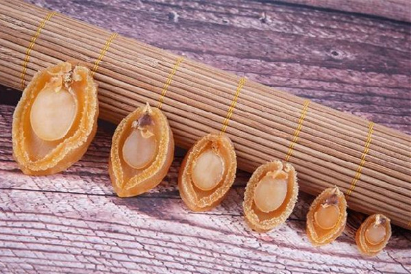 干鮑魚用熱水泡還是冷水泡 干鮑魚可以用開水泡發嗎